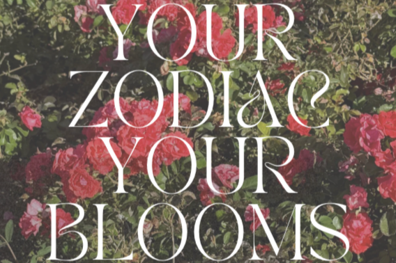 Bloom by the Stars: Zodiac-Inspired Florals for Every Sign