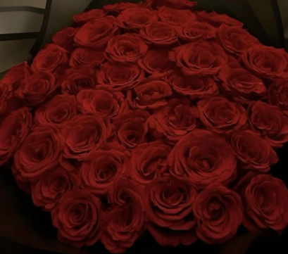 Screen Shot 2026-01-12 at 4.37.24 PM.png