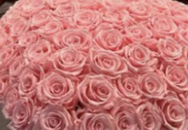 Screen Shot 2026-01-12 at 4.38.18 PM.png