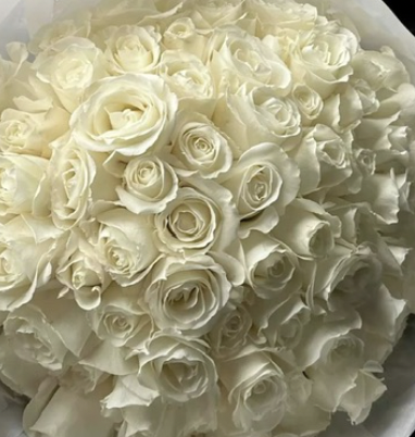 Screen Shot 2026-01-12 at 4.37.50 PM.png