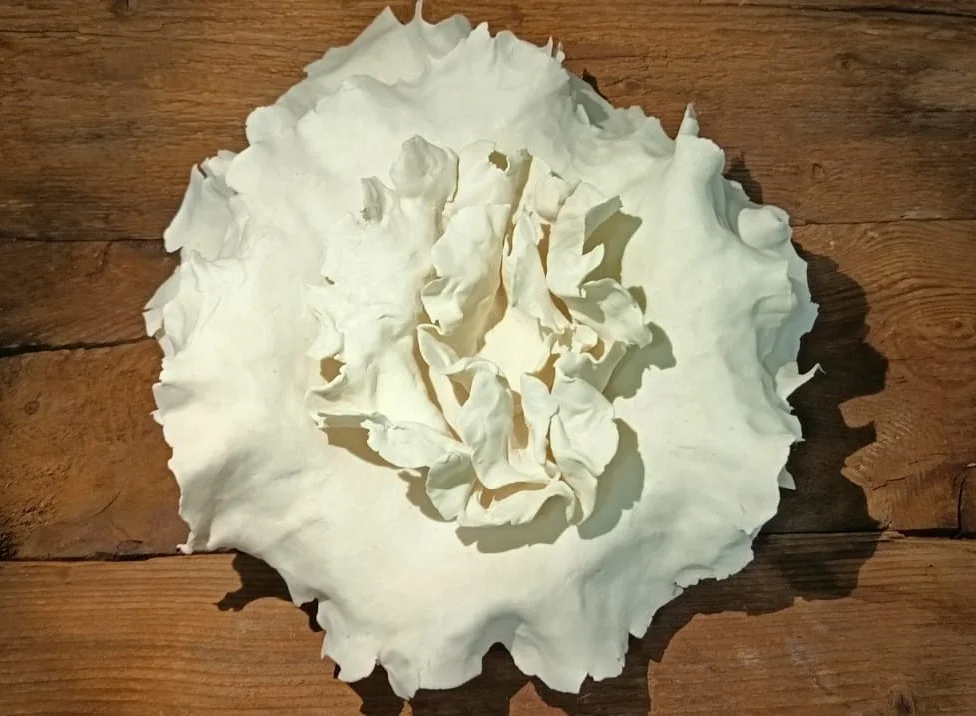 Fleurs