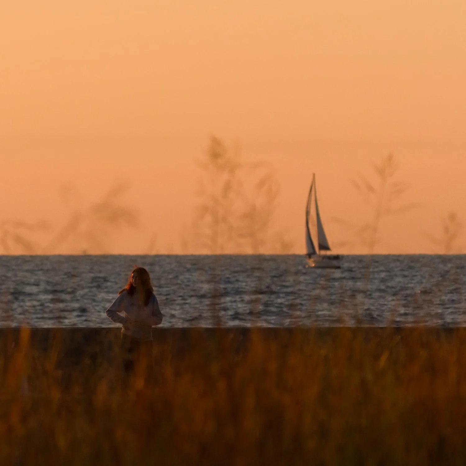 A person with long hair stands near the ocean at sunset with a sailboat on the water and blurred plants in the foreground.