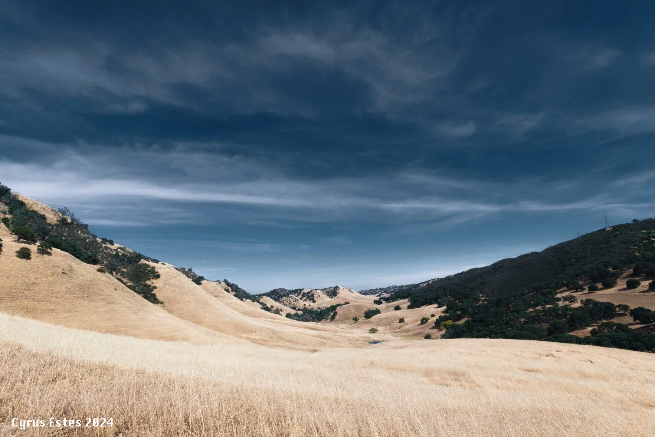Black Diamond Mines, California. Canon T8i. Digital.