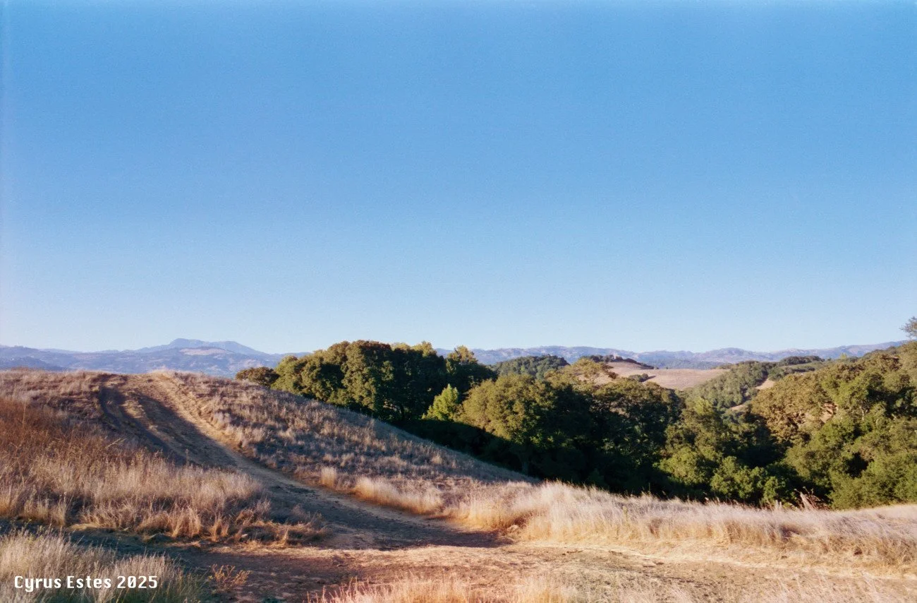 Taylor Mountain, California. Olympus OM-10, Cinestill 400D 35mm film.