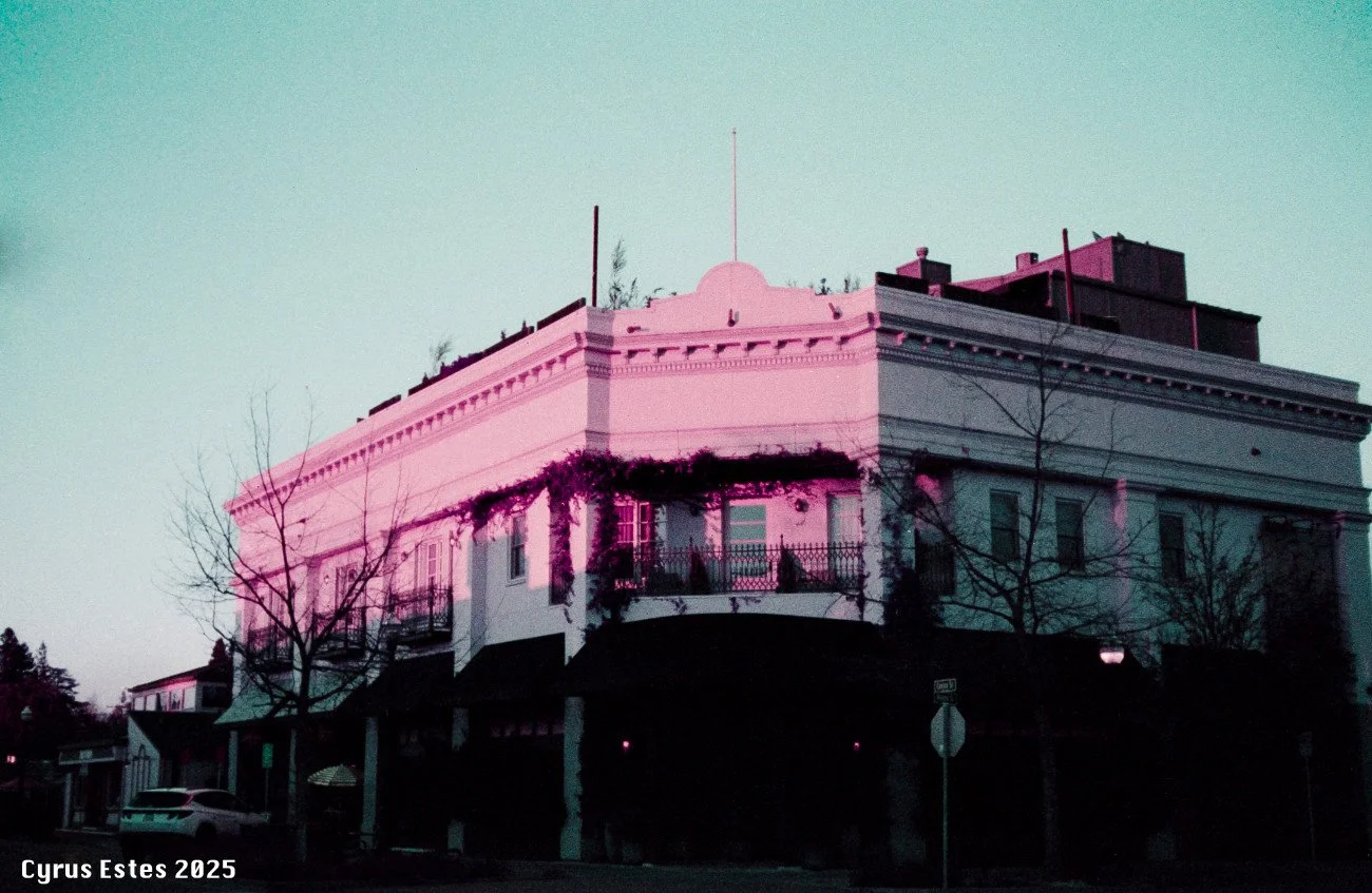 Healdsburg, California. Ricoh YF-20, Lomography Purple 35mm film.