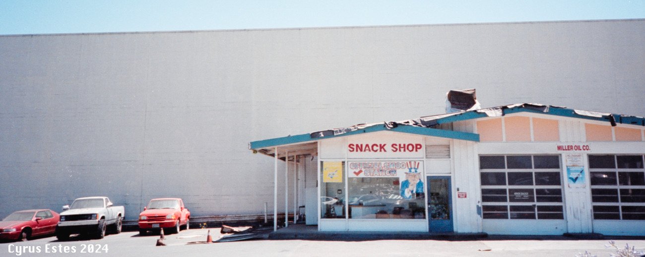 Sebastopol, California. Ricoh YF-20, Kodak Portra 400 35mm film.