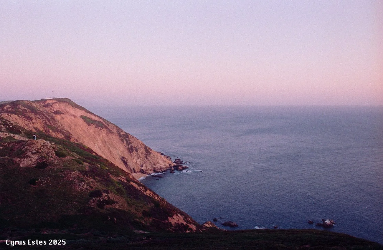 Point Reyes, California. Pentax Program Plus, Lomography 800 35mm film.