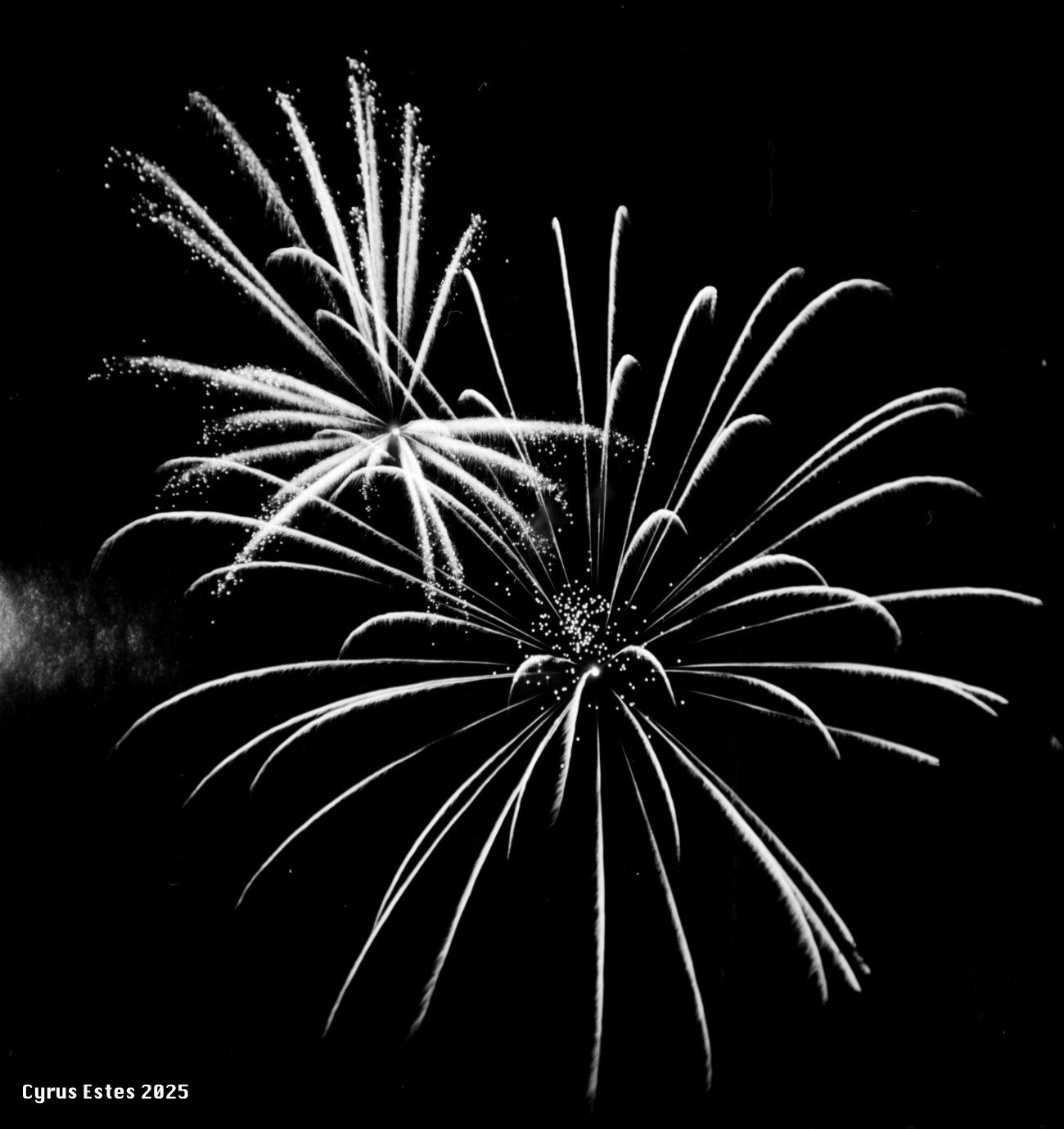 Independence Day 2025. Kodak Brownie Hawkeye, Flic Film Ortho 100 620 film.