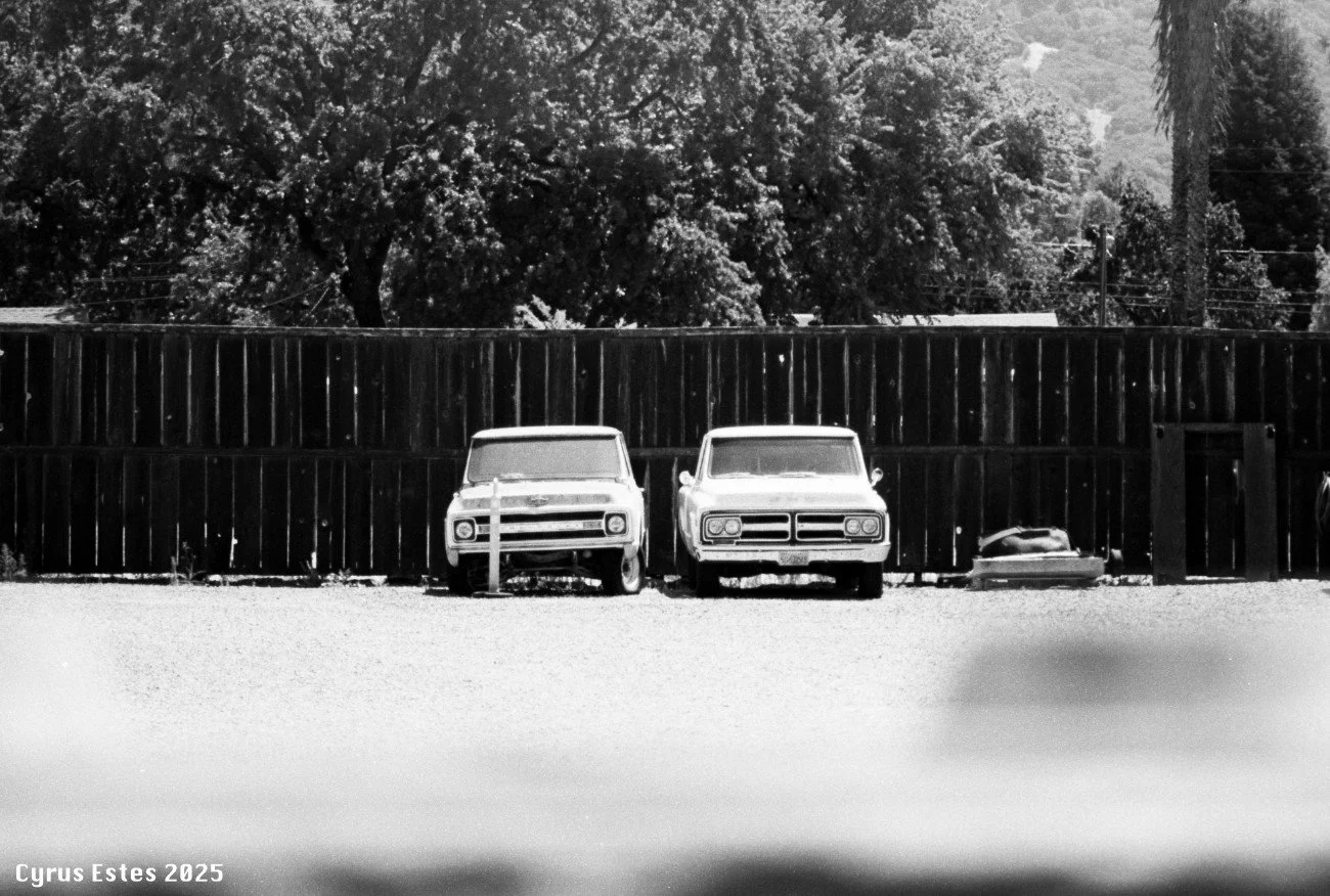 Two Peas In A Pod.  Olympus OM-10, Adox 50 35mm film.