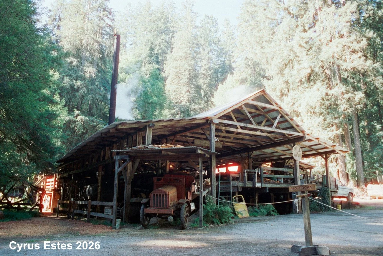 Sturgeon's Mill, California. Olympus OM-10. Cinestil 400D 35mm film.