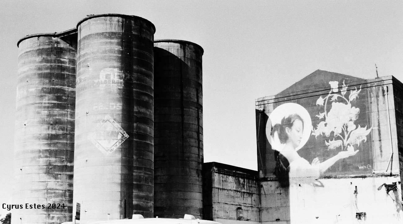 Santa Rosa, California. Olympus OM-10, Adox 50 35mm film.