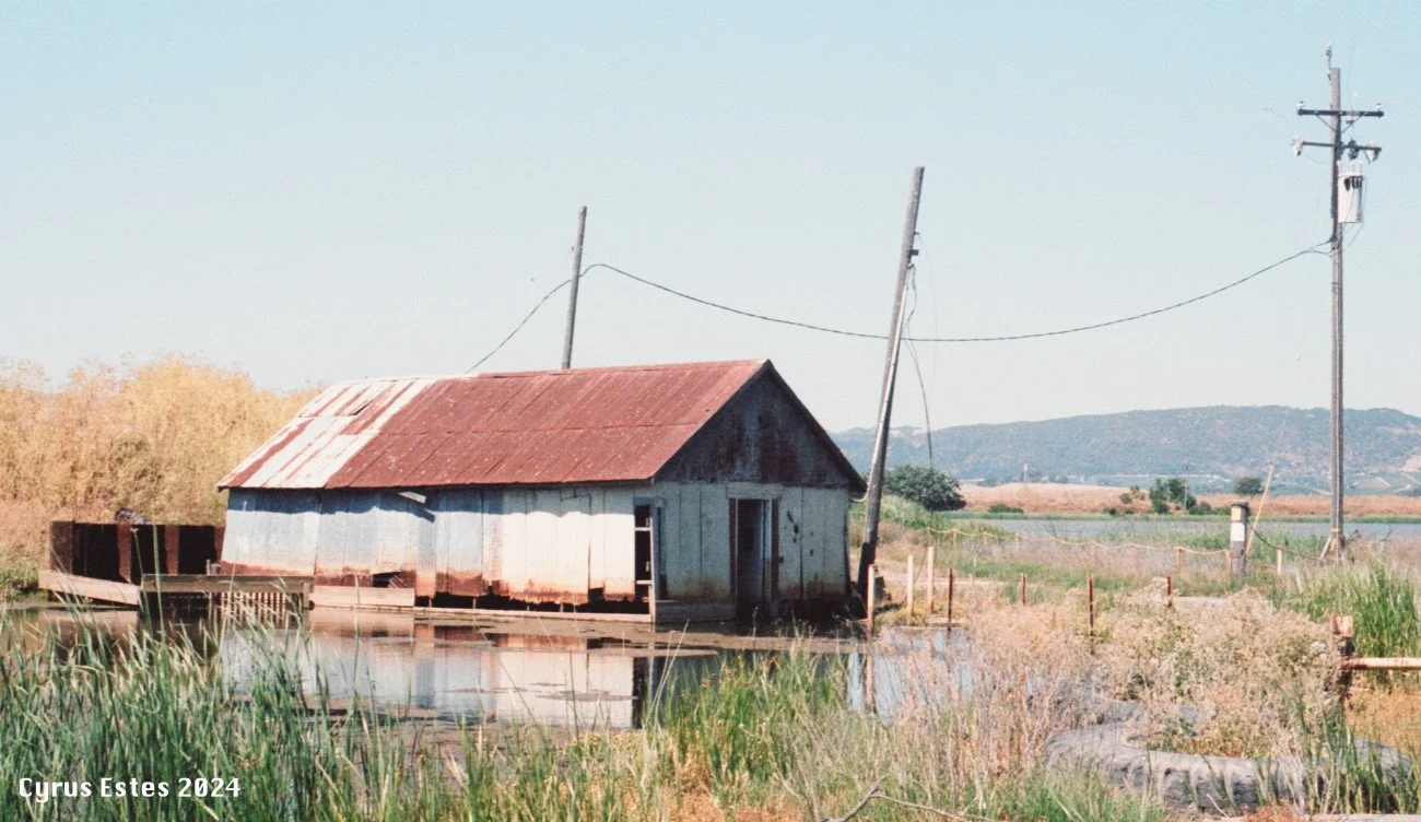 Somewhere outside Wingo, California. Olympus OM-1, Kodak Portra 400 35mm film.