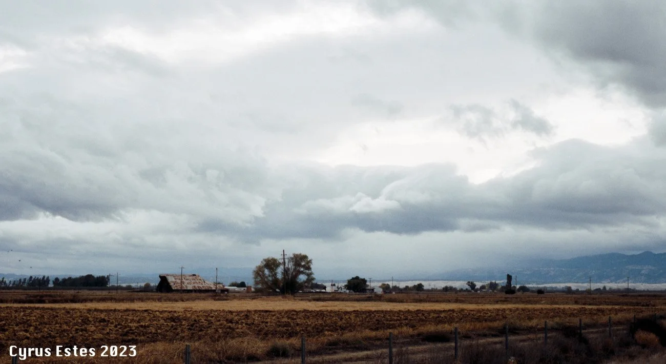 Glenn County, California. Mamiya M645, Cinestill 400D 120 film.