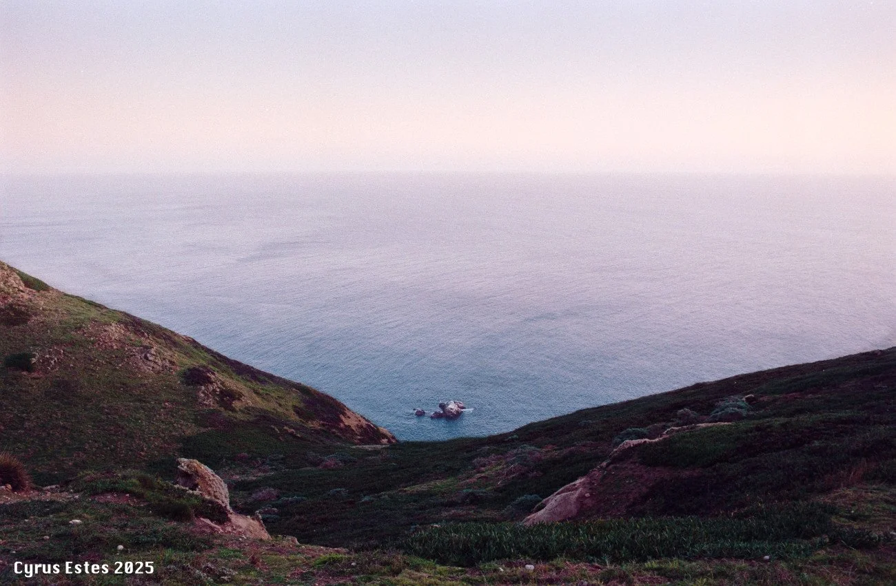 Point Reyes, California. Pentax Program Plus, Lomography 800 35mm film.