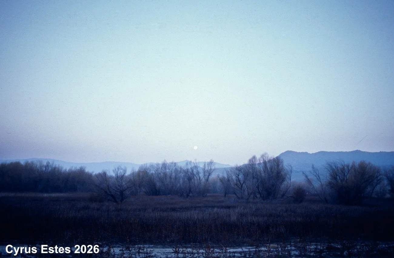 Lake Isabella, California. Olympus OM-10. Kodak E100 35mm reversal film.