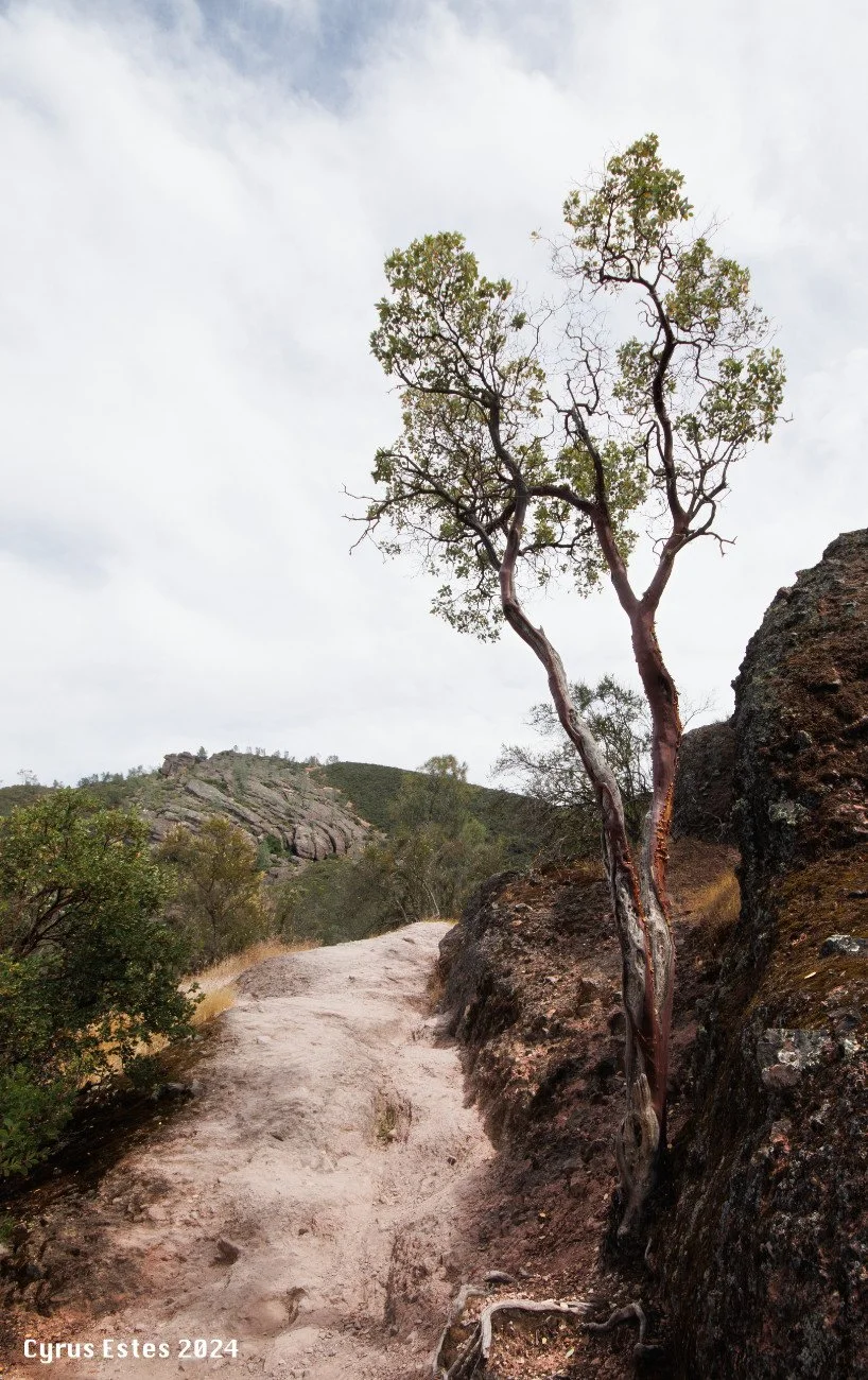 The Pinnacles National Park, California. Canon T8i. Digital.