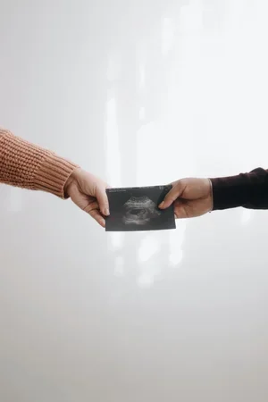 A Fertility Ultrasound: What Are We Looking For?