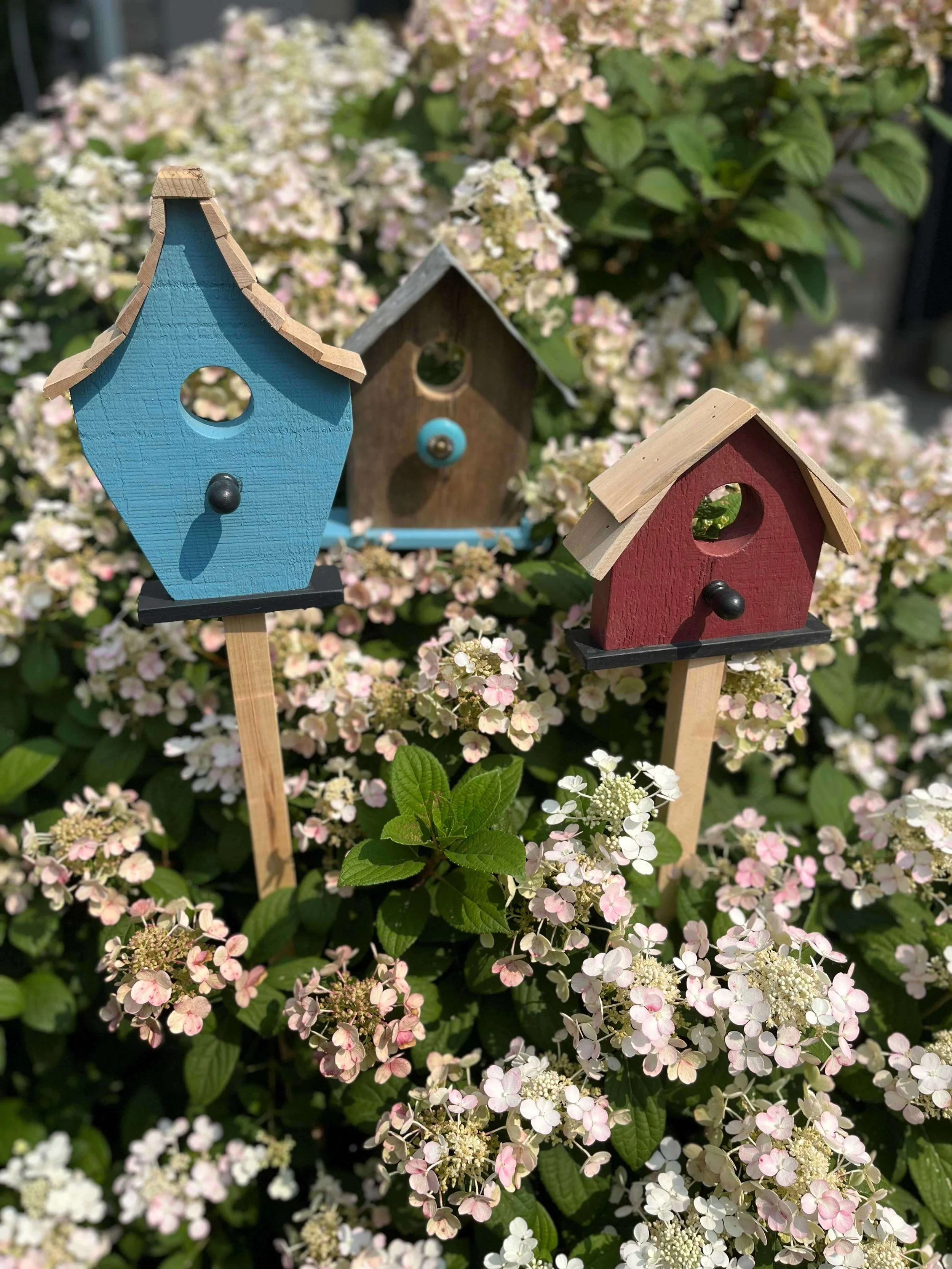deanweatherston-birdhousepicks-02.jpg