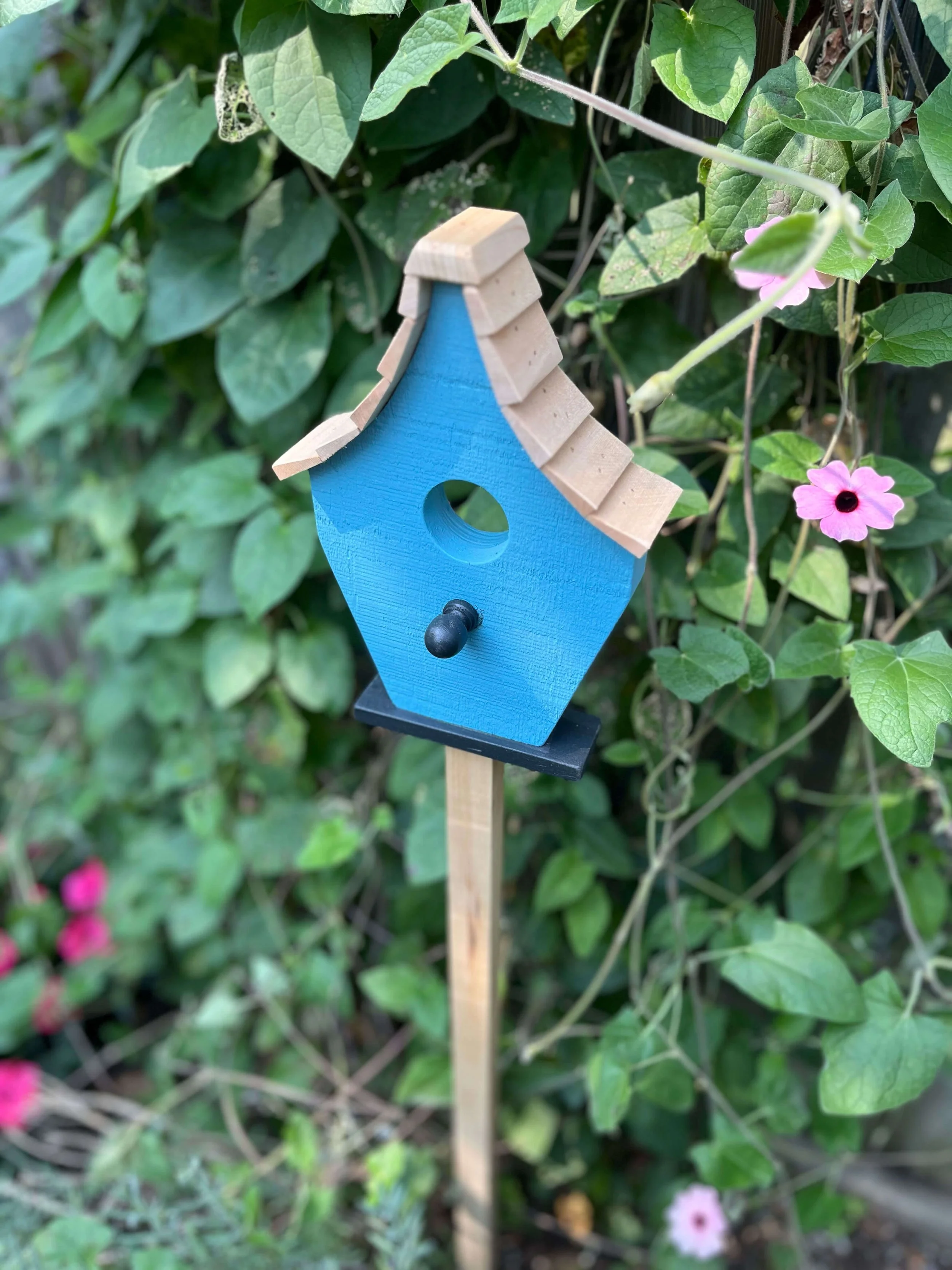 deanweatherston-birdhousepicks-03.jpg
