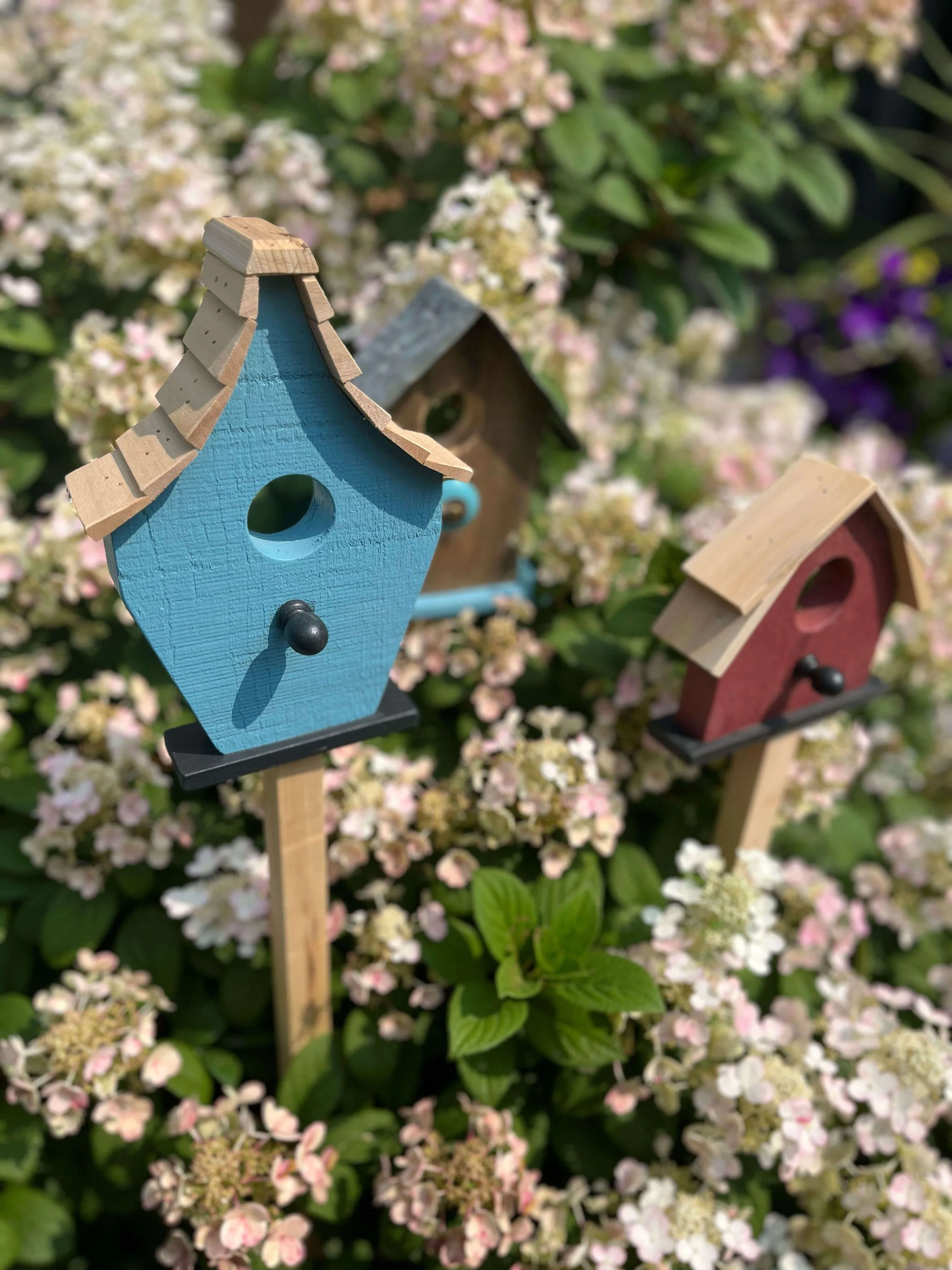 deanweatherston-birdhousepicks-06.jpg