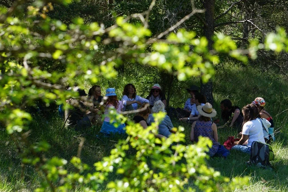 Executive Reset-Strategic Stillness for Optimum Performance