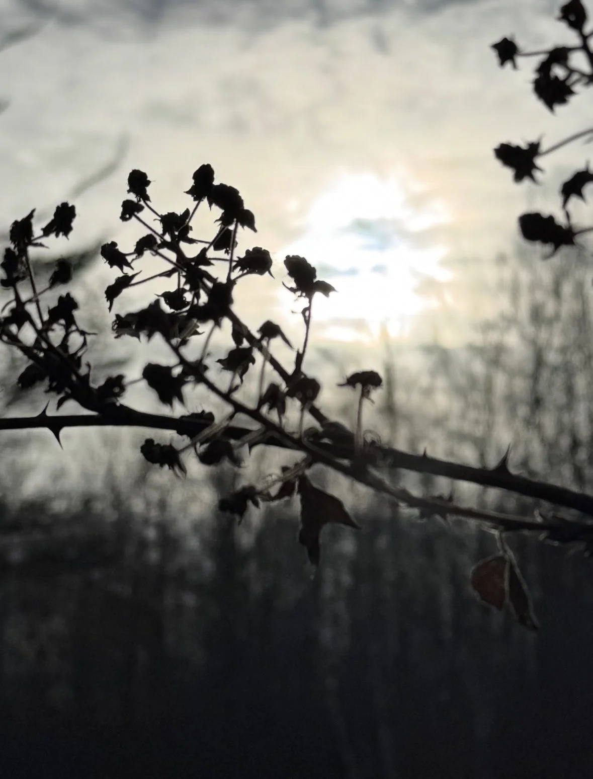 Intro To Nature Photography