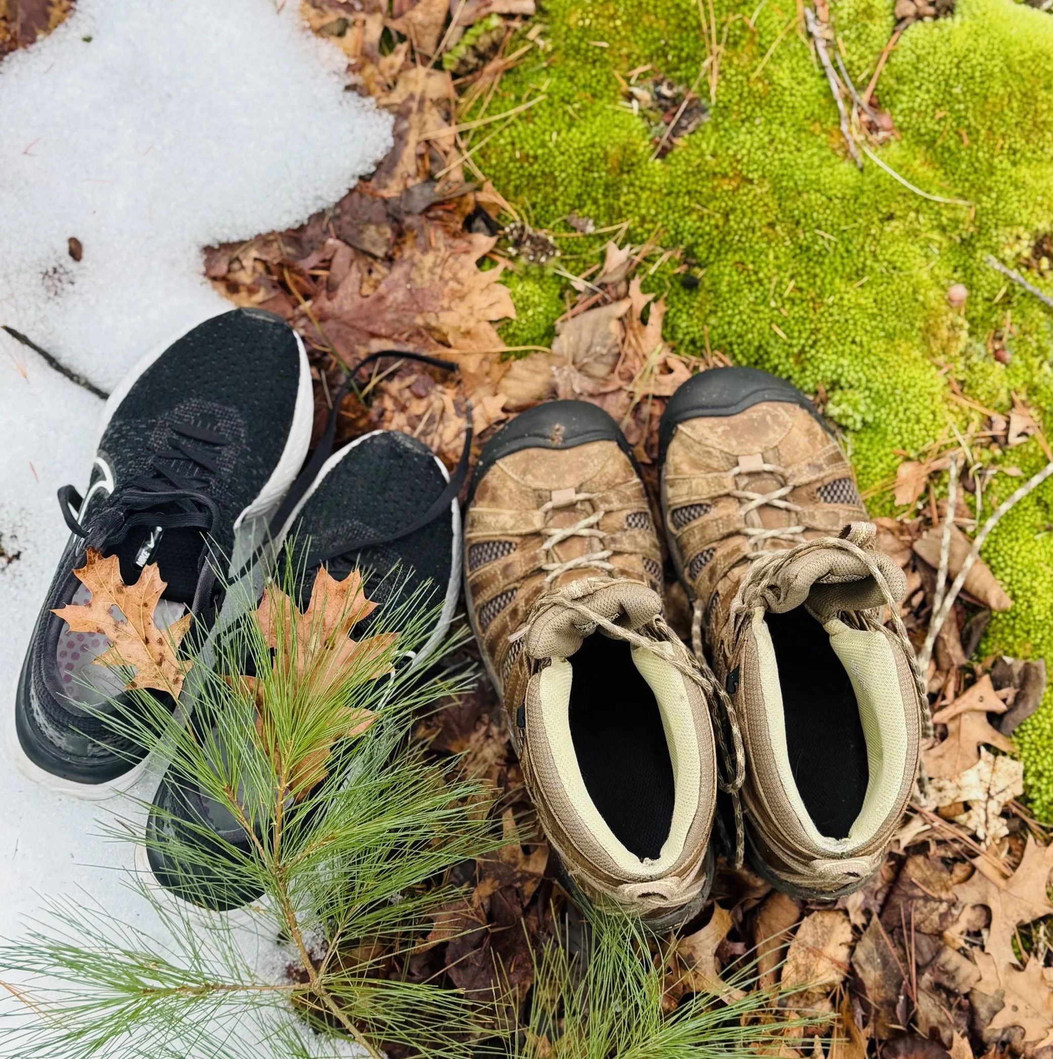 Couples Guided Forest Therapy Walk