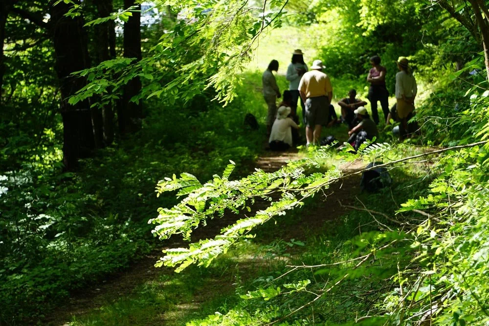 Group of people during a forest therapy walk are gathered on a forest trail, surrounded by lush green trees and foliage, some standing and some sitting on the ground.