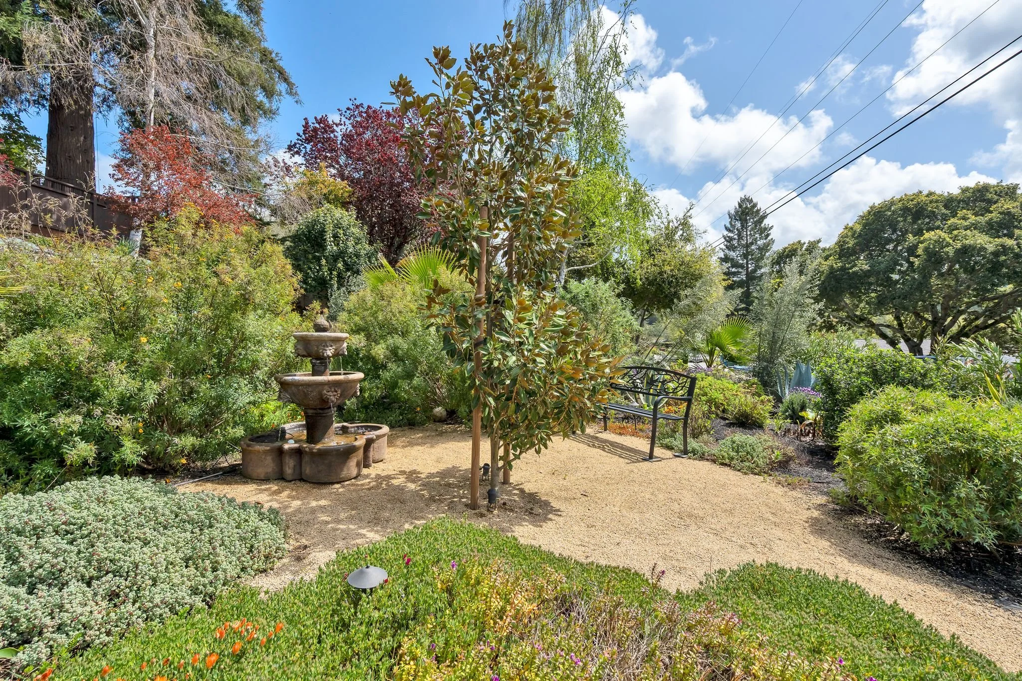 Photos-4.jpg