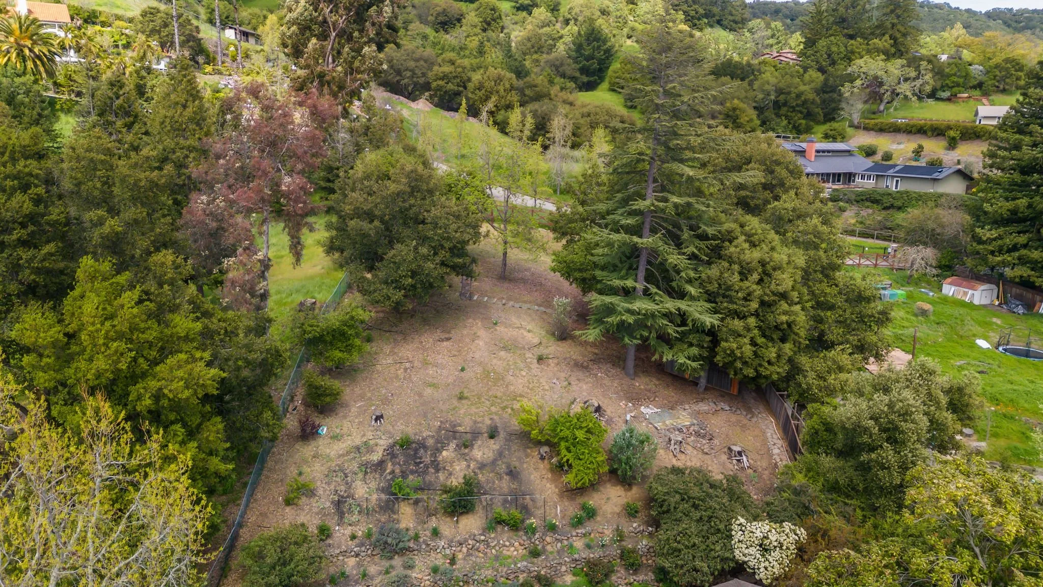 Drone-5.jpg