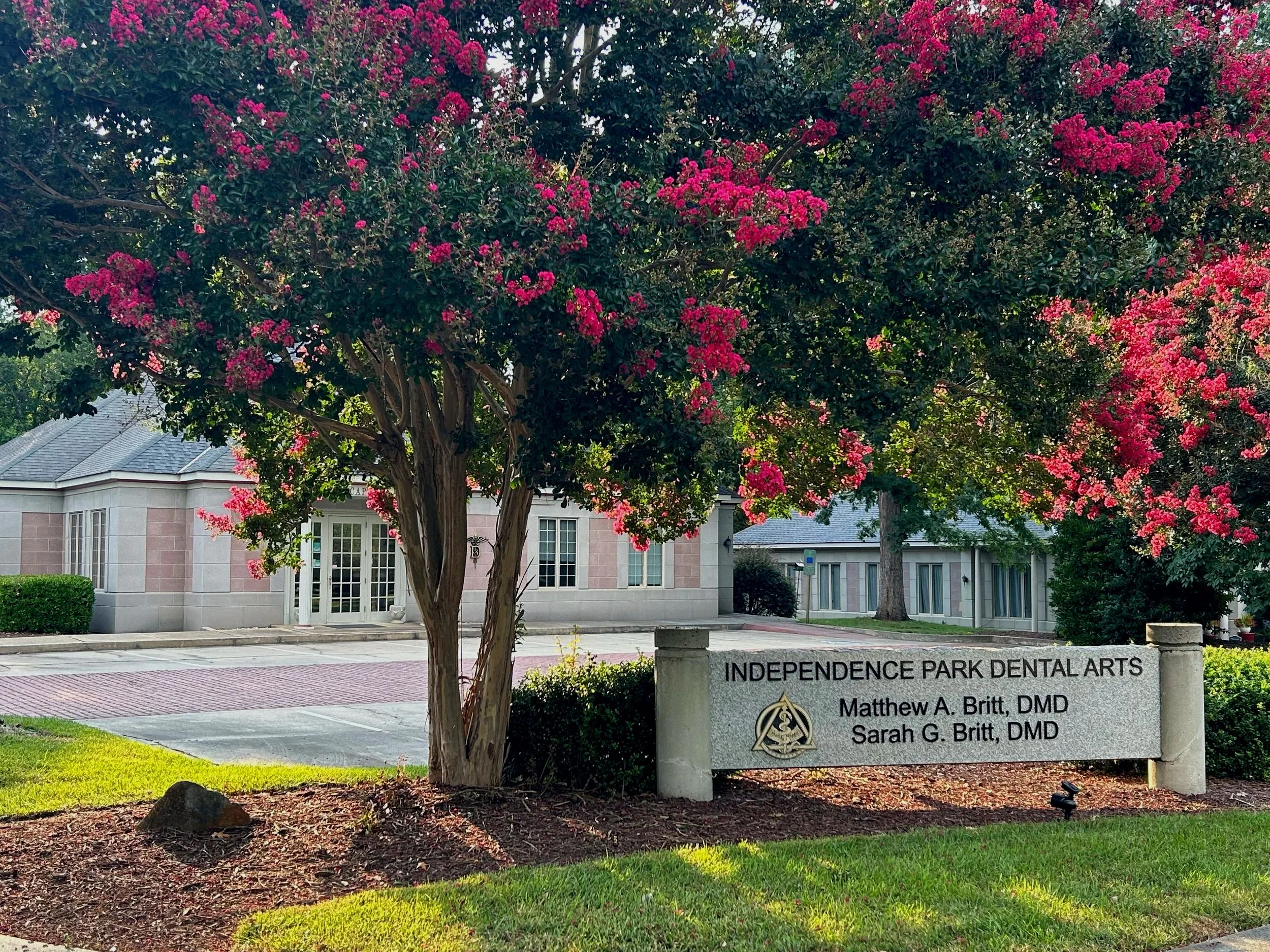 A large flowering tree with pink blossoms in front of a dental office sign at Independence Park Dental Arts, with a large building and trees in the background.