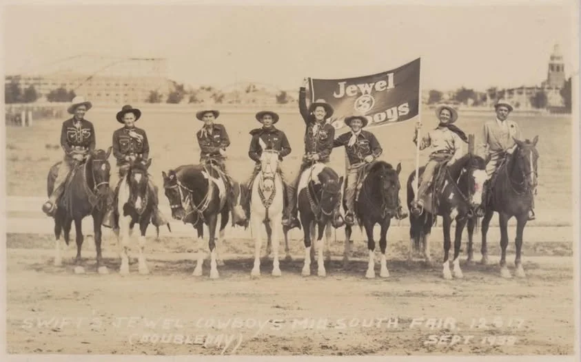 Swift Jewel Cowboys.jpg