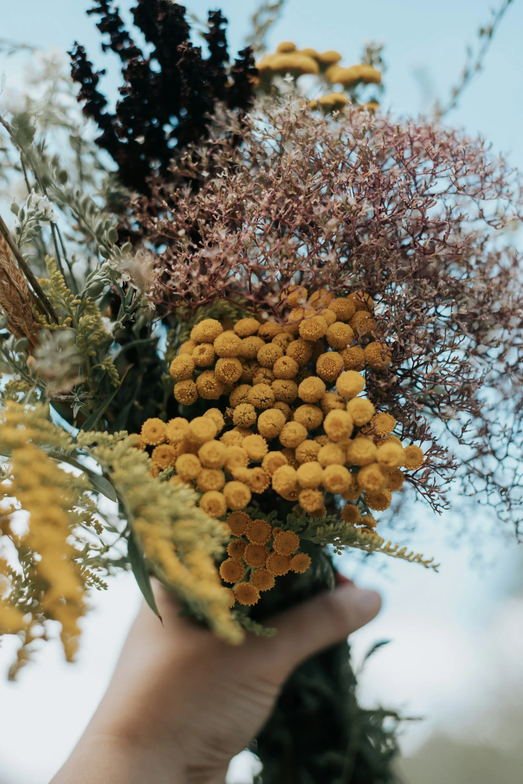 A hand holding a bouquet of various flowers including yellow, purple, and green plants against a blue sky.