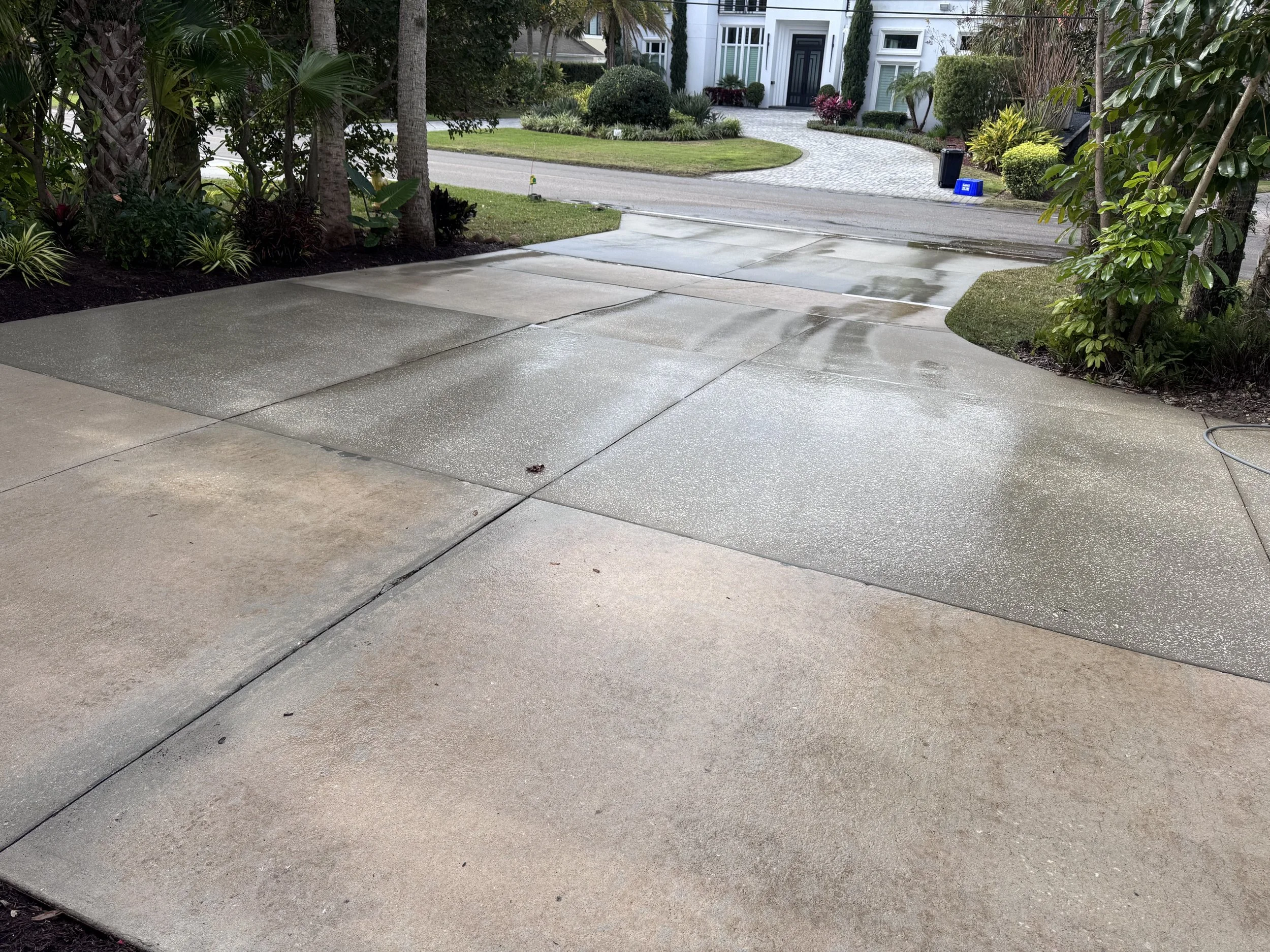 Driveway After Clean