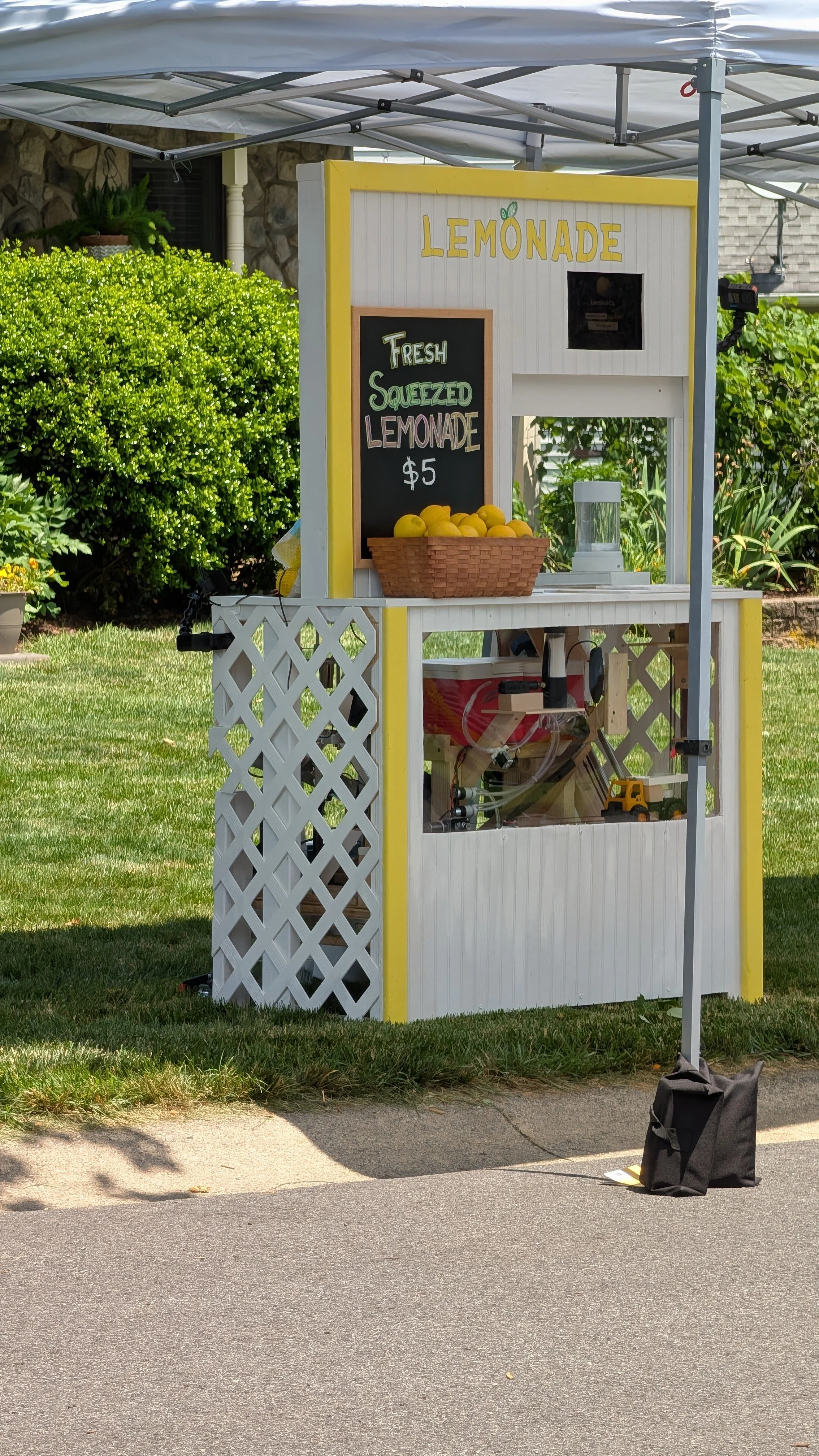 Lemonade stand.jpg