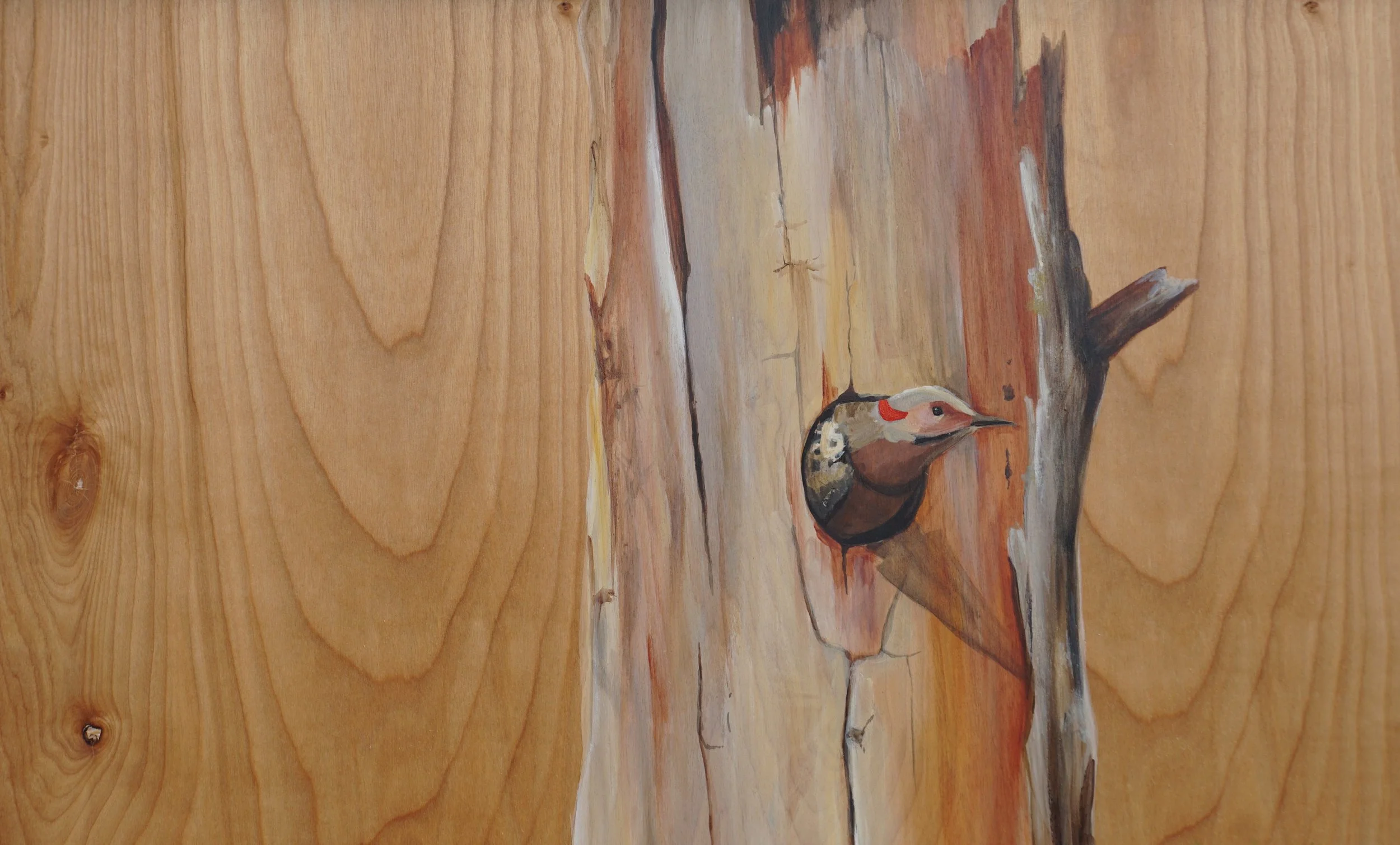 Painting of a woodpecker bird on a log, set against a wooden background.