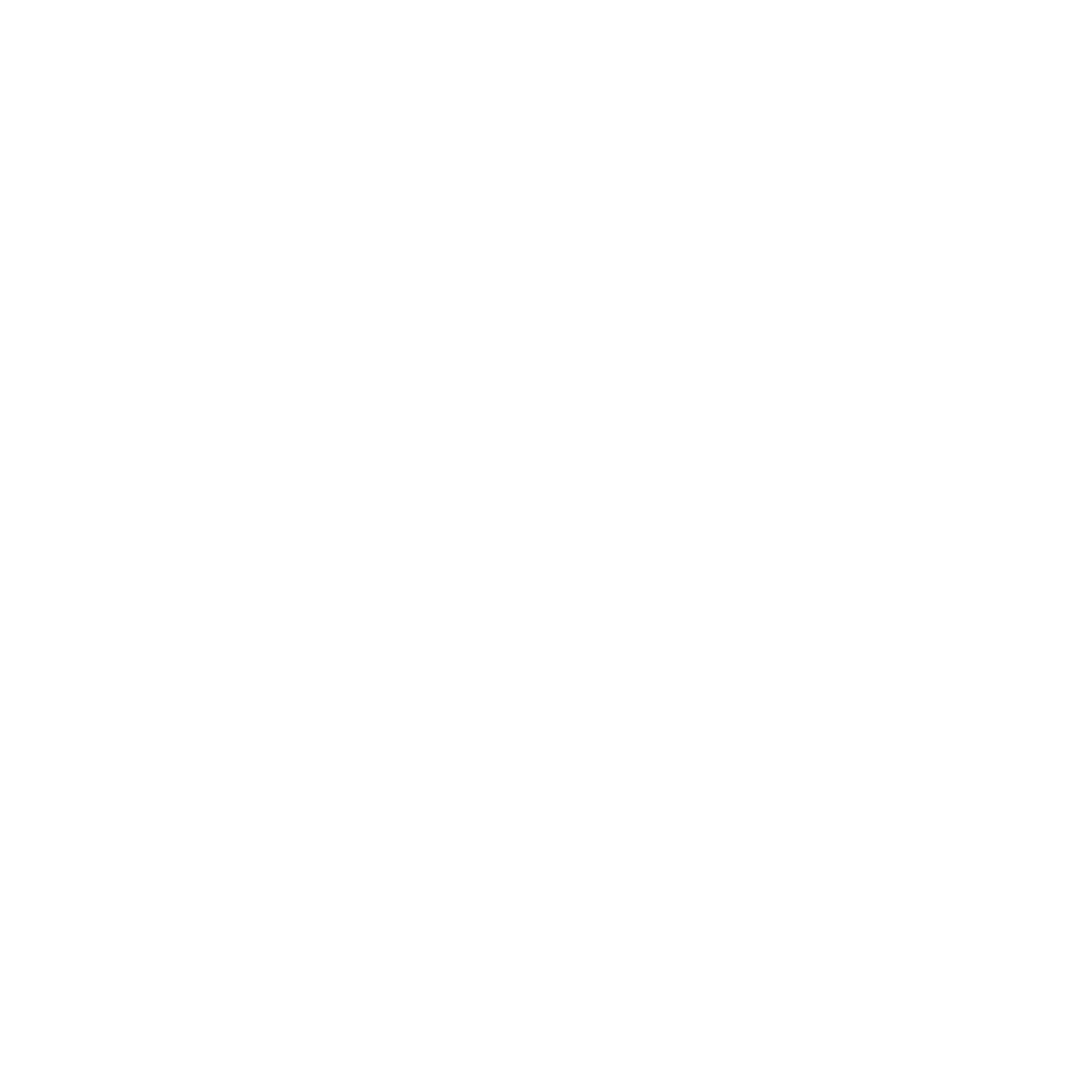 Seashell Illustration