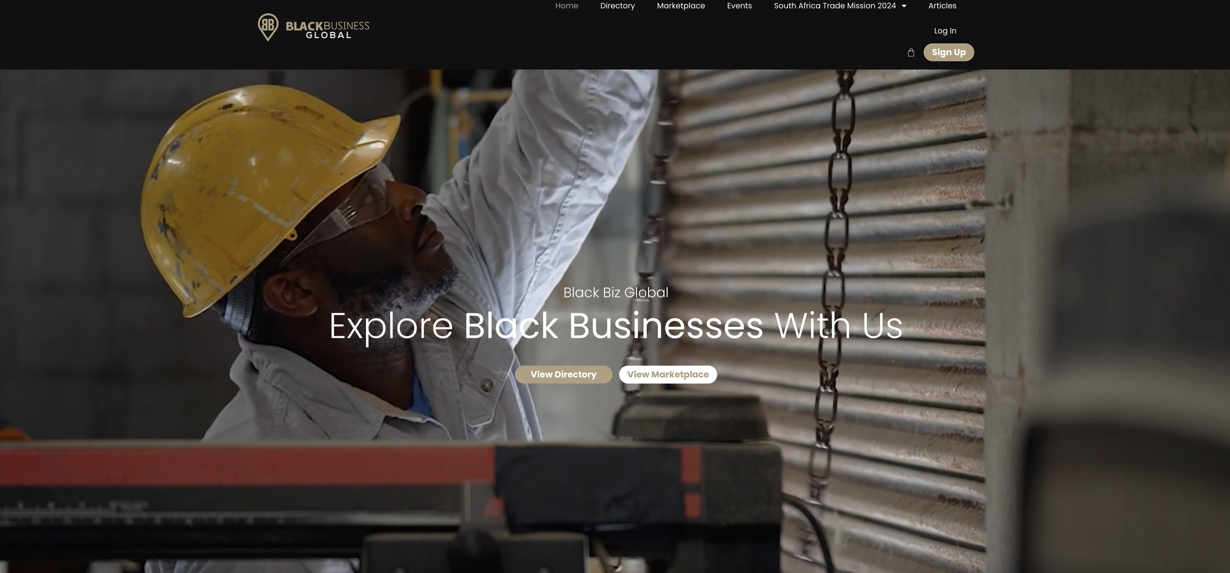 Black Biz Global
