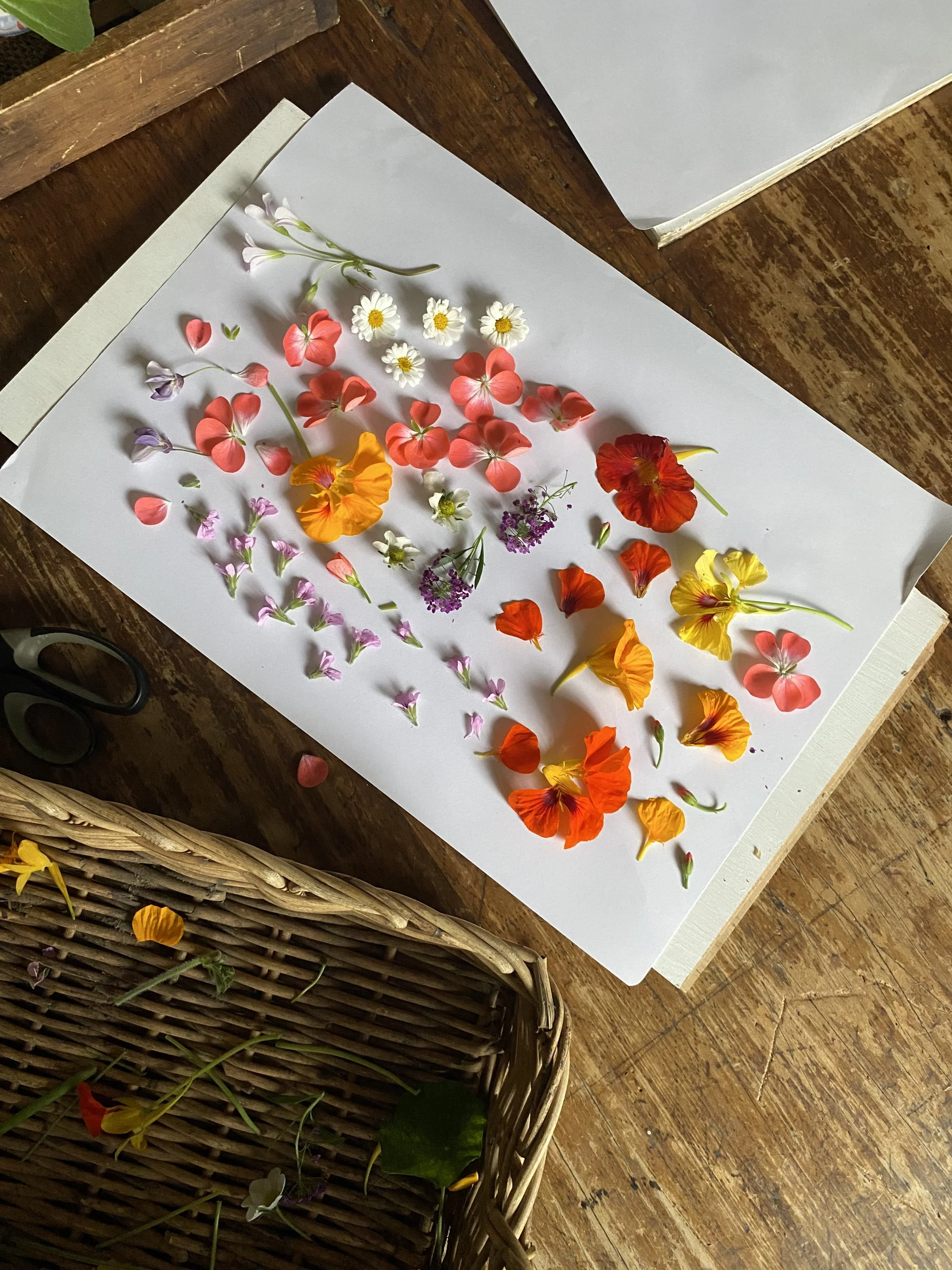 Workshops — Thrums Craft Cottage