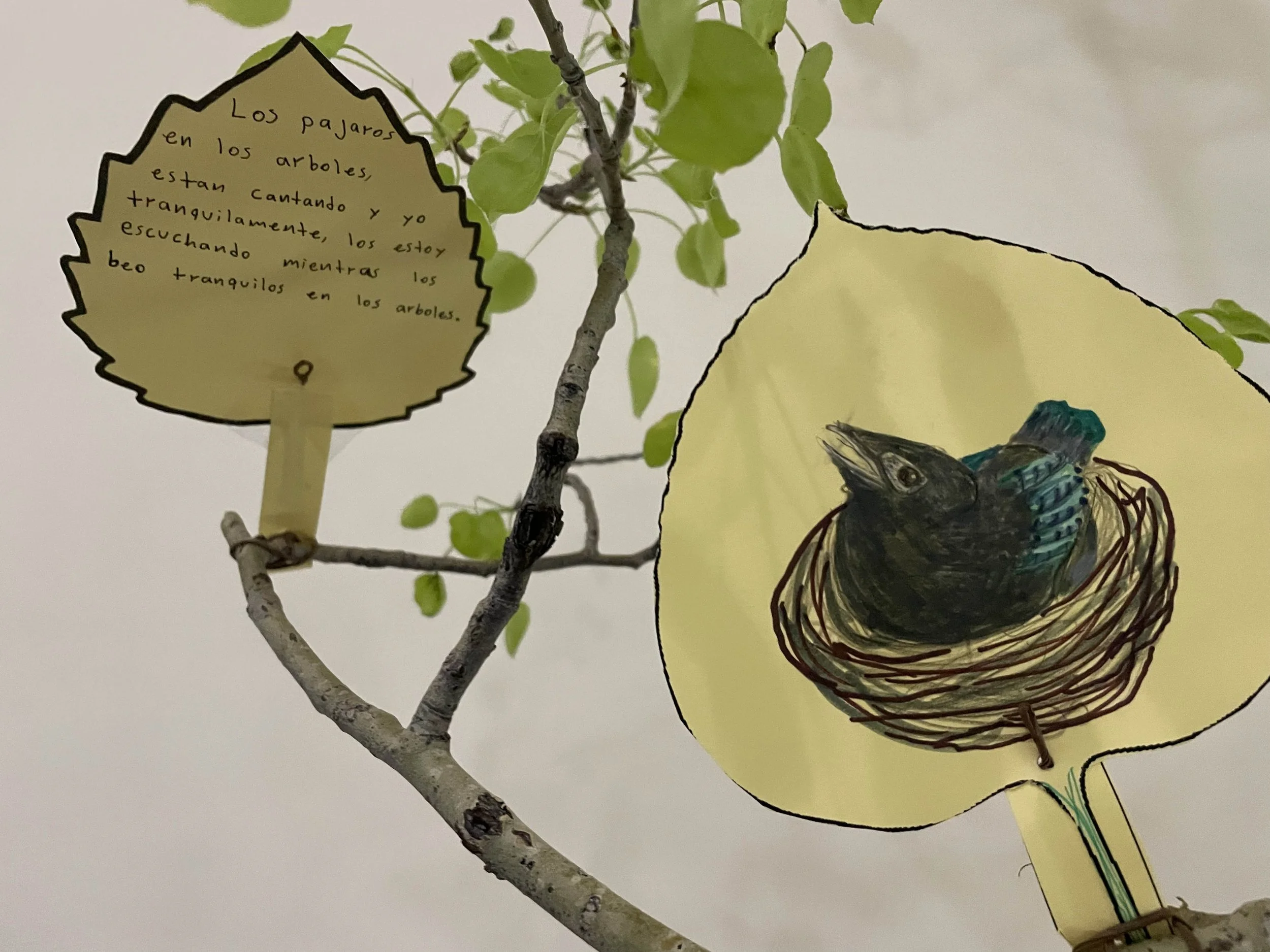 IMG_2625 los pajaros.jpg