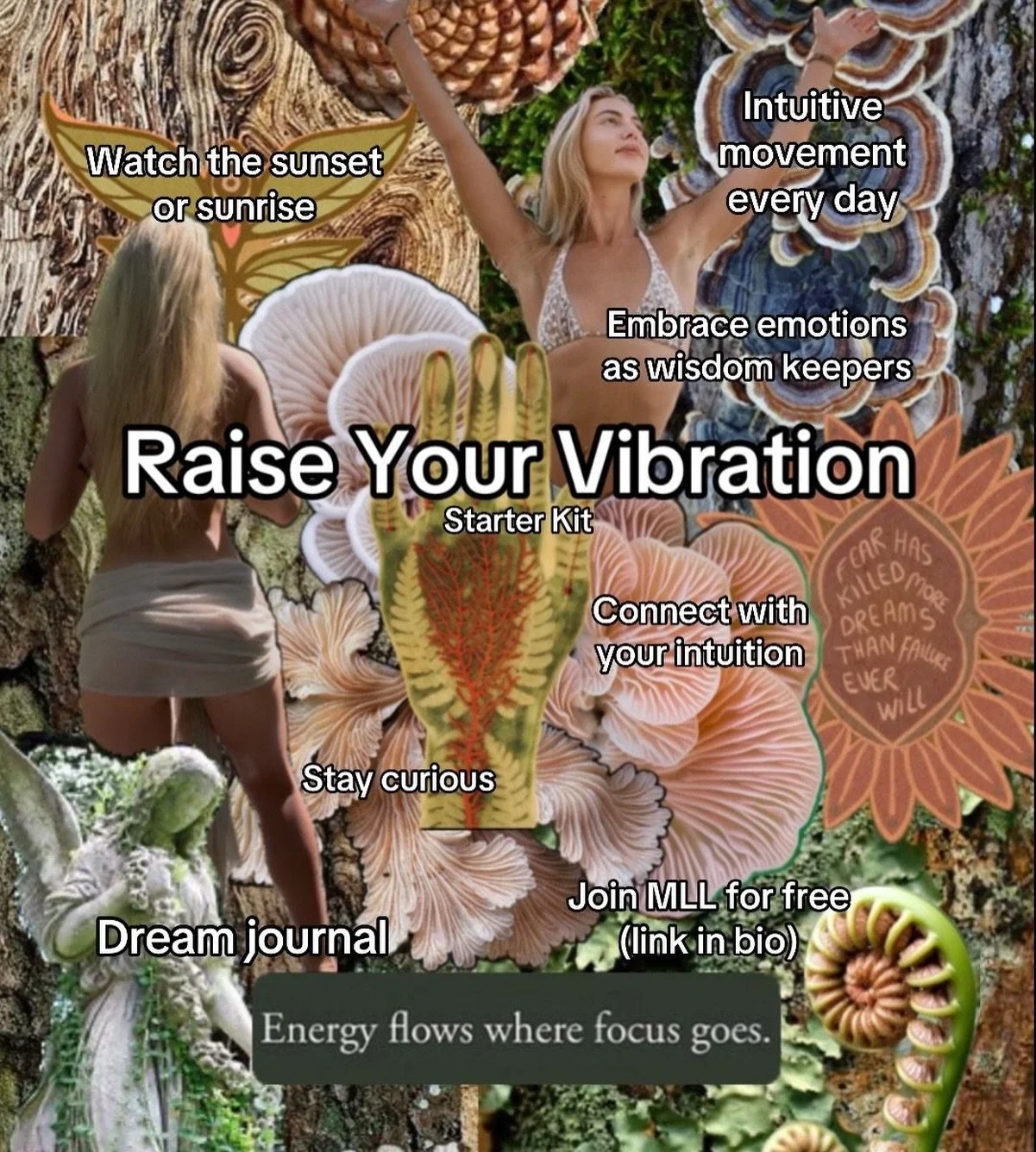 If you REALLY want to raise your vibration then you need to focus on MAINTAINING a high frequency&hellip; so inner peace, purpose, and prosperity becomes your normal 👇

To do this, we need to incorporate high vibrational habits into our LIFESTYLE ✨
