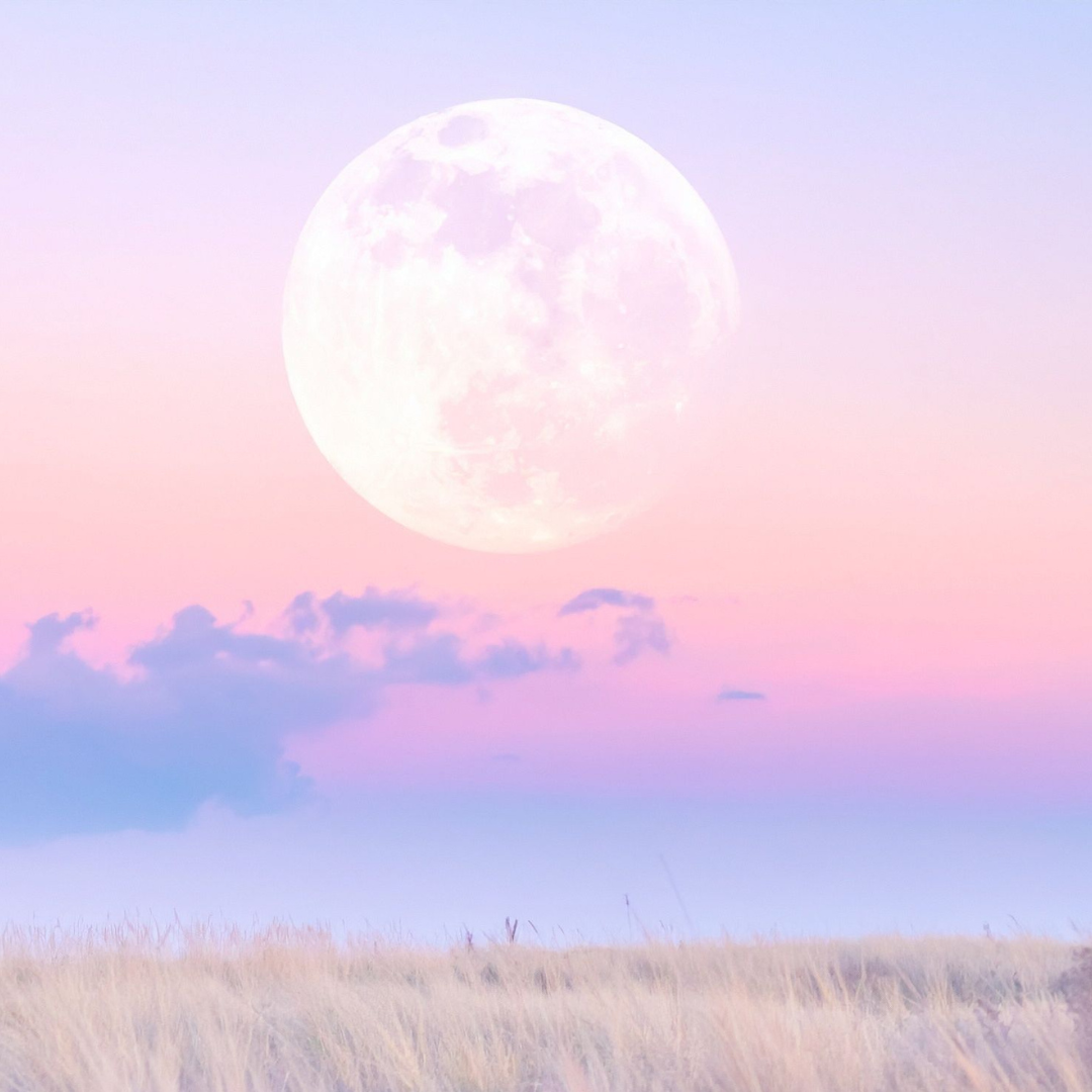 Untitled design (13).png