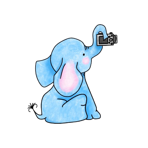 Blue Elephant Imagery