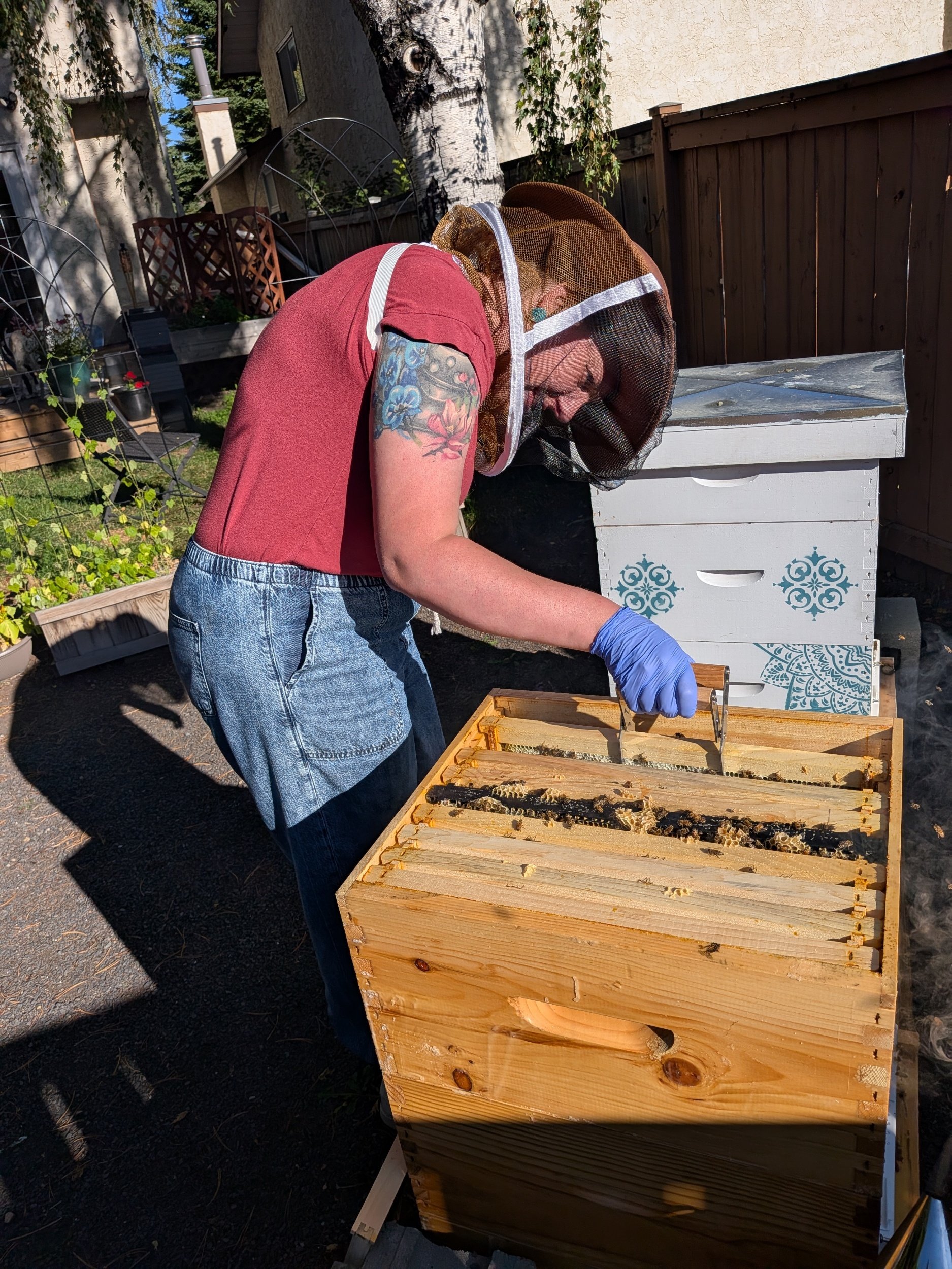 The Rhythm of Beekeeping