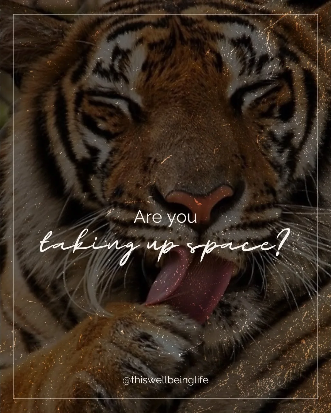 I&rsquo;ve been thinking a lot about how good I got at supporting everyone else...Truly a skill I mastered early on.

For a long time, being behind the scenes was my comfort zone. Supporting others is still a huge part of who I am and what I do, and 