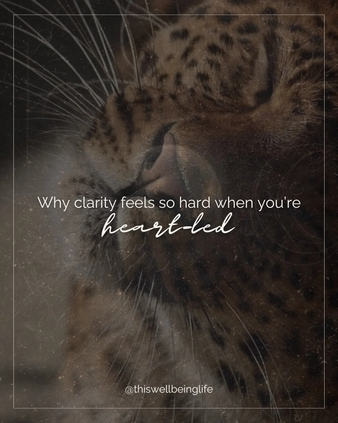 If you read this and thought, &ldquo;wow ok rude this is literally me,&rdquo; hi.
You&rsquo;re not unclear. You&rsquo;re heart-led and holding a lot at once.

Business Foundations is for when your brain feels like 47 open tabs and you just want someo