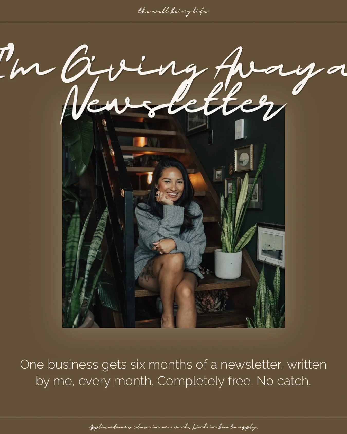 I just want to support a business that knows it needs a newsletter but doesn&rsquo;t know where to start. I believe in the impact a quality, branded newsletter can make. So one business gets six months of a newsletter from me, completely free, no cat