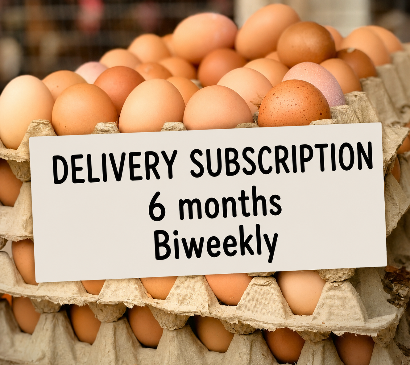 Delivery Subscription - 6 Months - Weekly