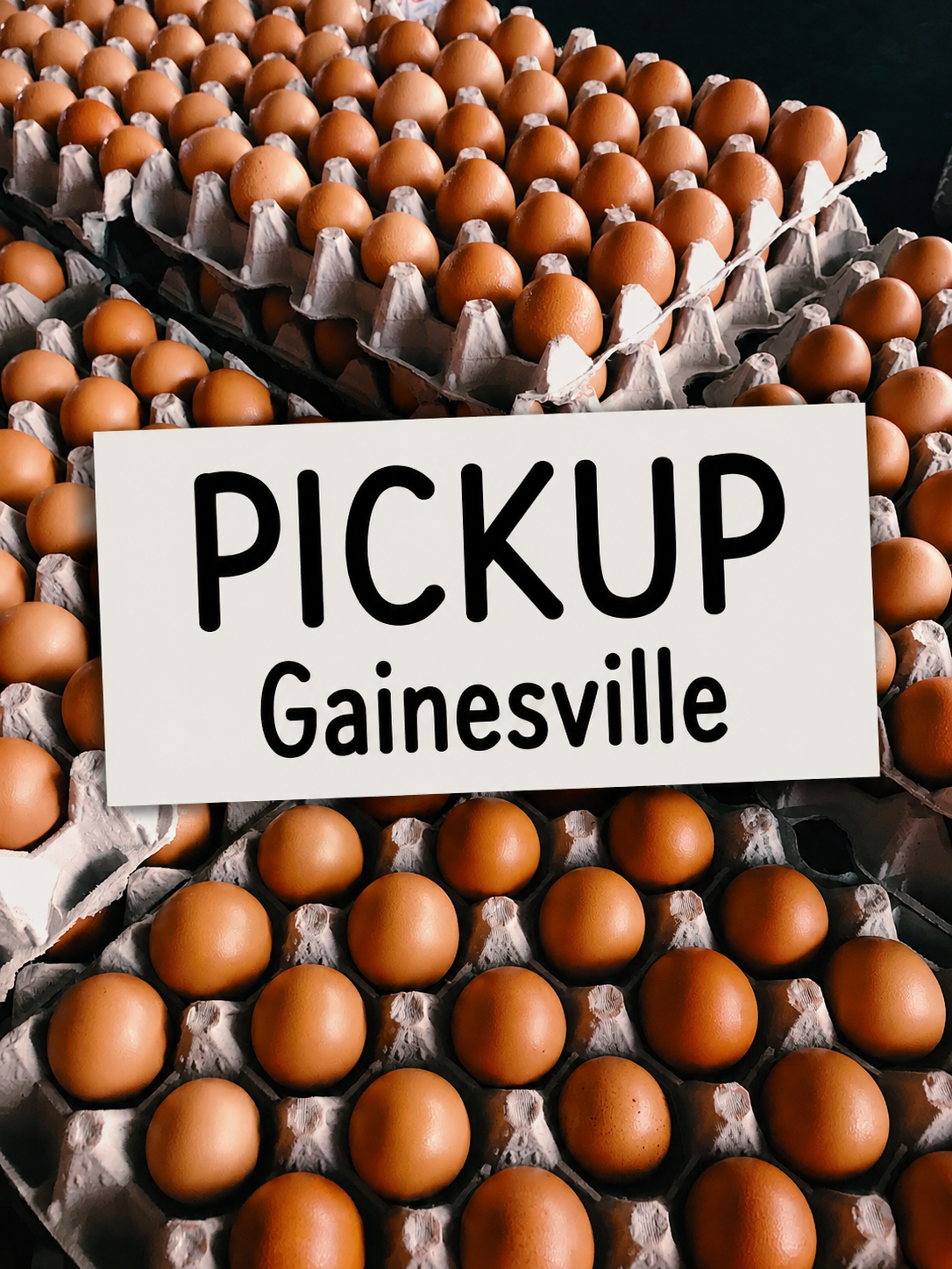 Pickup Gainesville
