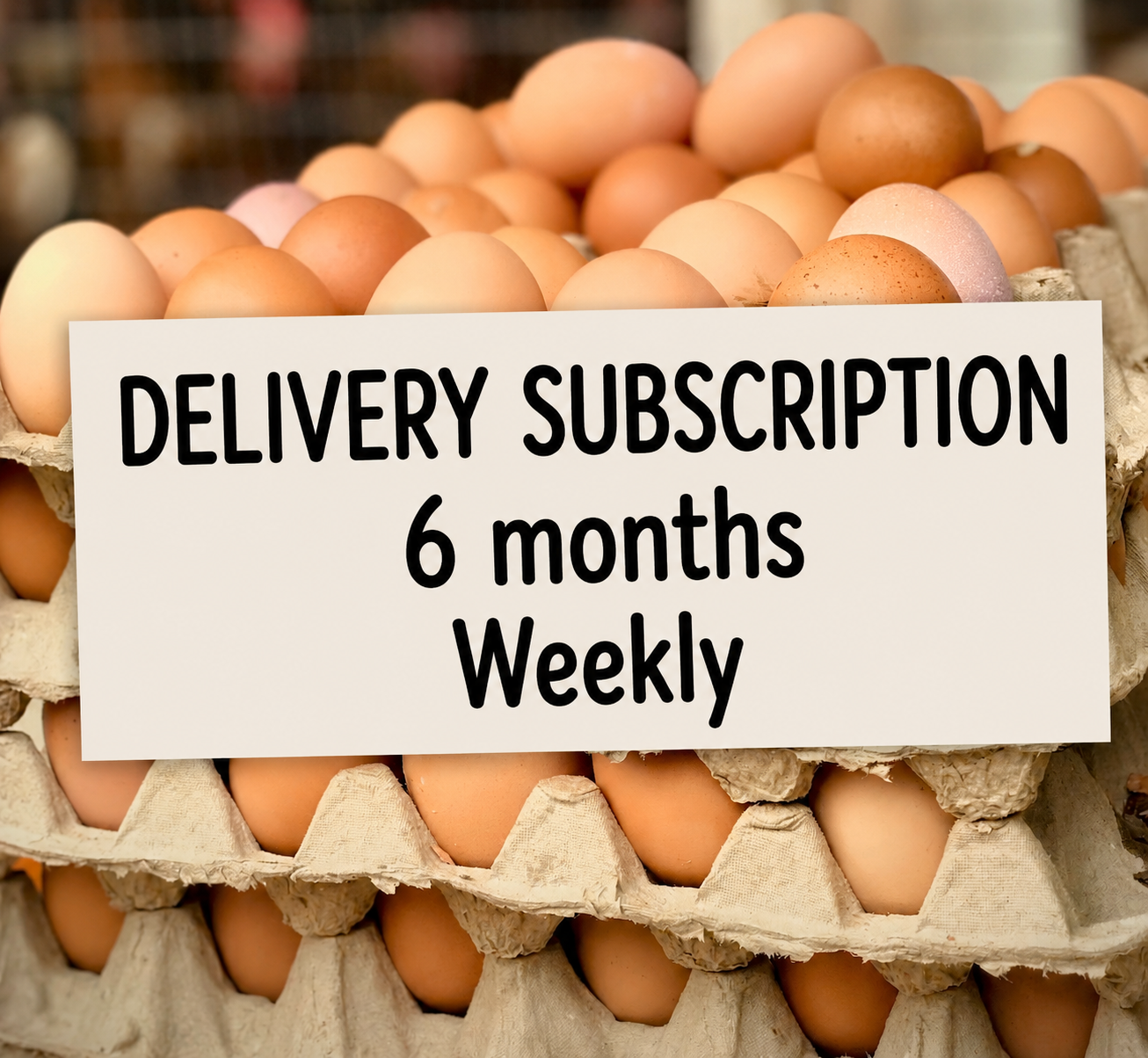 Delivery Subscription - 6 Months - Biweekly